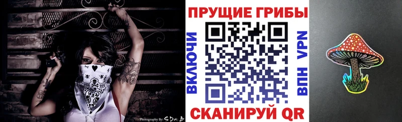 Псилоцибиновые грибы мухоморы  где найти   Духовщина 